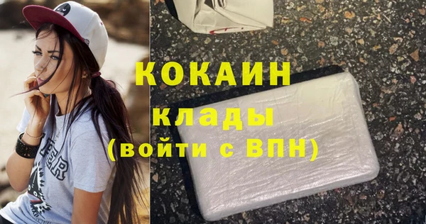 шишки Балахна