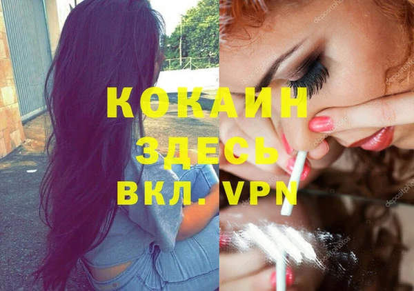 мяу мяу мука Баксан
