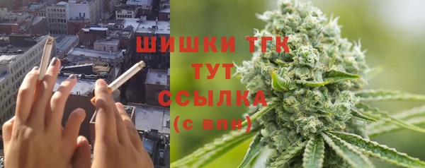 шишки Балахна